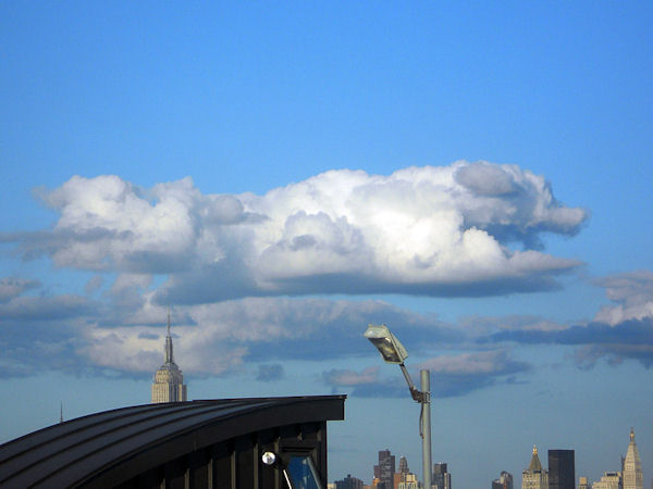 insolite chien nuage