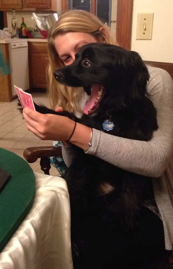 insolite carte chien face poker