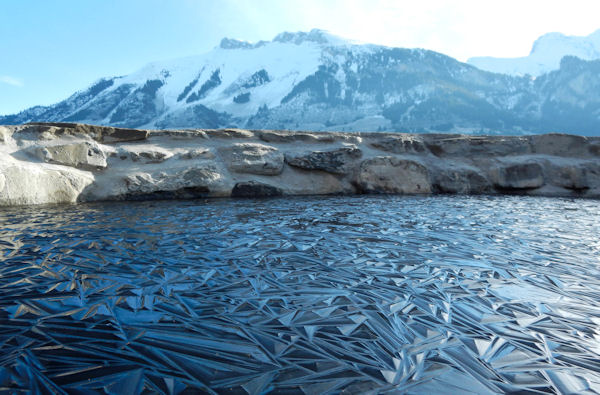 insolite fel mare surface
