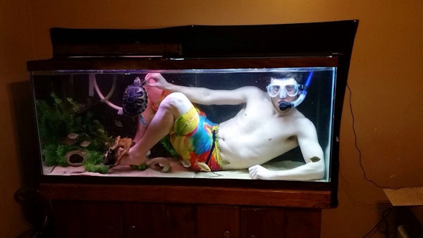 insolite aquarium homme tortue