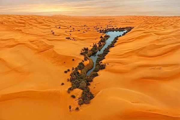 insolite desert oasis sable