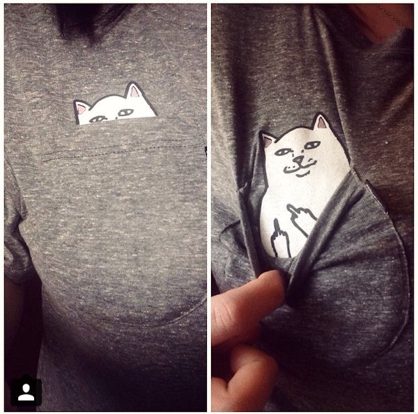 insolite chat doigt honneur poche t-shirt