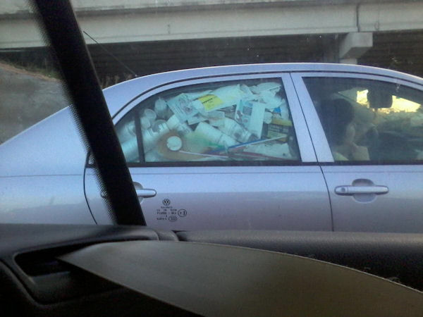 insolite poubelle voiture