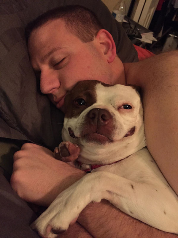 insolite chien dormir homme