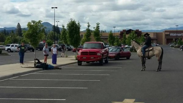 insolite cheval cowboy homme lasso velo voleur
