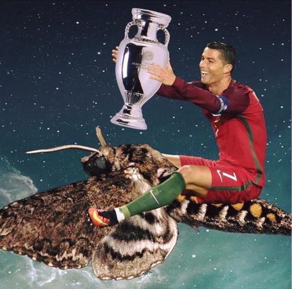 insolite aladdin coupe cristiano nuit papillon ronaldo