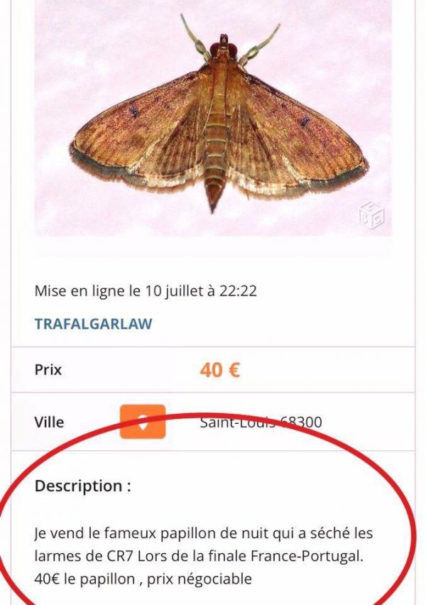 insolite 2016 cr7 euro football larme leboncoin papillon ronaldo