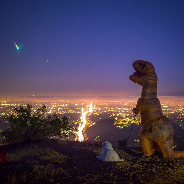 insolite etoile filant meteoire t-rex tyrannosaure