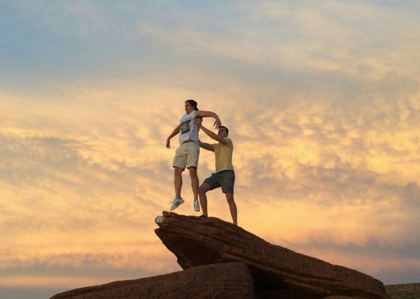 insolite lion presentation rocher roi scene simba