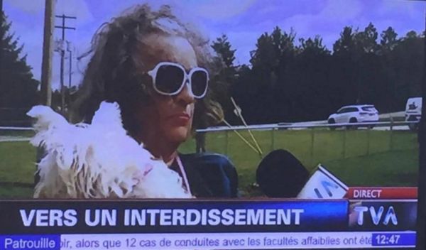 insolite faute interdiction stagiaire tele tva