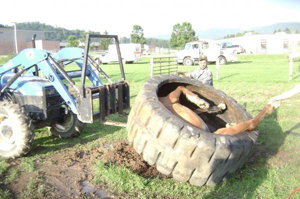 insolite cheval pneu roue tracteur