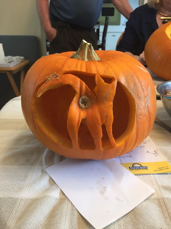 insolite chat citrouille halloween lanterne visage