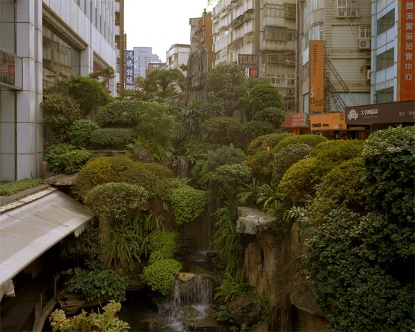 insolite immeuble jungle taipei vegetation ville