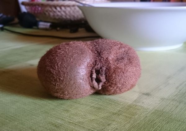 insolite anus fruit kiwi trou
