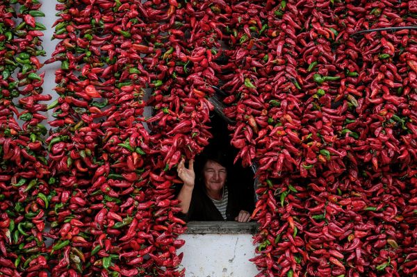 insolite maison mur piment rouge