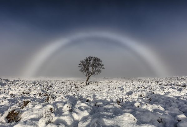 insolite arc-en-ciel blanc brouillard