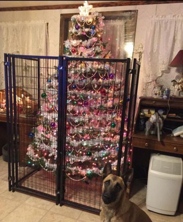 insolite barriere chien noel sapin
