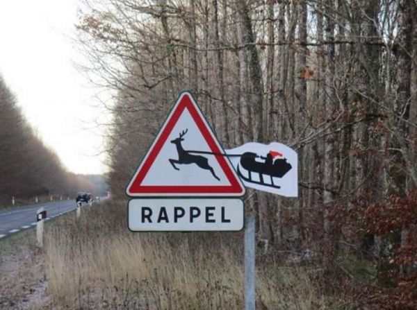 insolite animal attention noel panneau pere signalisation traineau