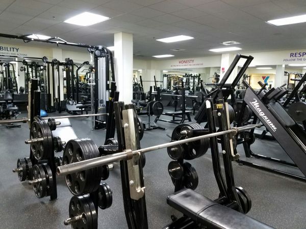 insolite annee gym musculation nouvel resolution salle