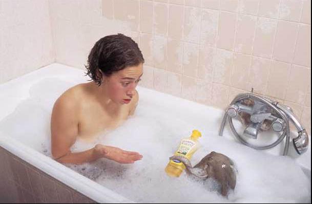 trucage bain avec elephan miniature insolite