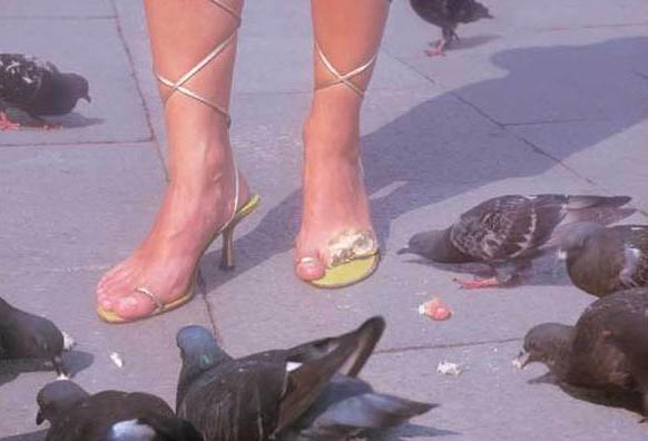 trucage piegeons mangeur orteils insolite