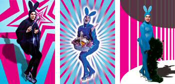 "image playboy bunny blue scotty"