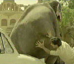 elephant inde Pub Peugeot 206 (Inde)