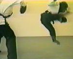 martial entrainement Un singe fait du Kung Fu