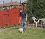 football ballon geste Pub Williamhill (Chien ballon de foot)