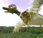 canard chasse Pub Woodpecker (Canard)
