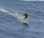 surf Surf sur une vague géante