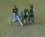 cheval jockey Vol plané pendant une course de chevaux