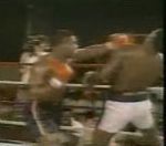 coup poing combat Les meilleurs KO de Mike Tyson