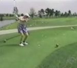 golf balle oiseau Quel swing !