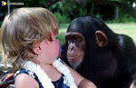 bebe singe chimpanze Salut poupée