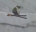 neige ski chute Skieur chanceux