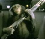 chimpanze monkey Pub Suburban (Trunk Monkey)