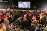 elephant animal Cinéma en plein air pour éléphant