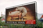 mouton fesses chaud Natural Wool, la laine qui garde vos fesses au chaud