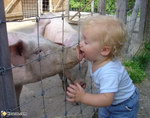 bouche enfant cochon Bisou cochon