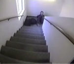 escalier chute homme Regarde où tu marches !