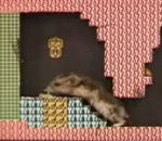 hamster Un hamster coincé dans un jeu-vidéo