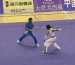 martial demonstration Wushu
