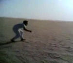 saoudite sable saoudien Comment attraper un vautour ?