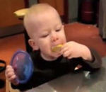 grimace bebe citron Quand les bébés goûtent le citron