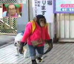 japon chien tele Un singe prend le train