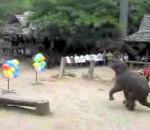 flechette ballon elephant Un éléphant joue aux fléchettes