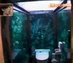 toilettes japon Aquarium Toilettes