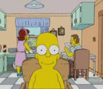 noah accelere Homer Simpson s'est pris en photo tous les jours pendant 39 ans