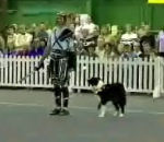 chien dressage concours Chien Gladiateur